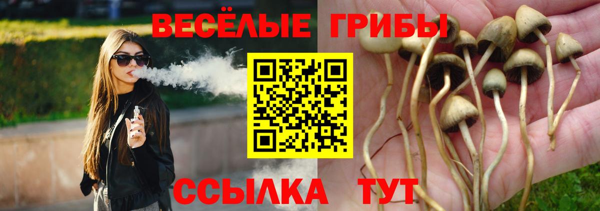 Псилоцибиновые грибы ЛСД  Вход с VPN  Амурск  Галлюциногенные грибы Psilocybe 